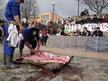 Momento del despiece del cerdo.